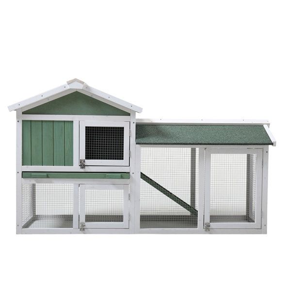 Tucker Murphy Pet Kaiya Wooden Chicken Hutch with Chicken Run & Reviews